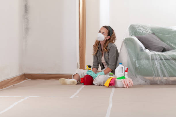 Reliable Black Mold Removal contractor in Buies Creek, NC by WQB Mold Removal